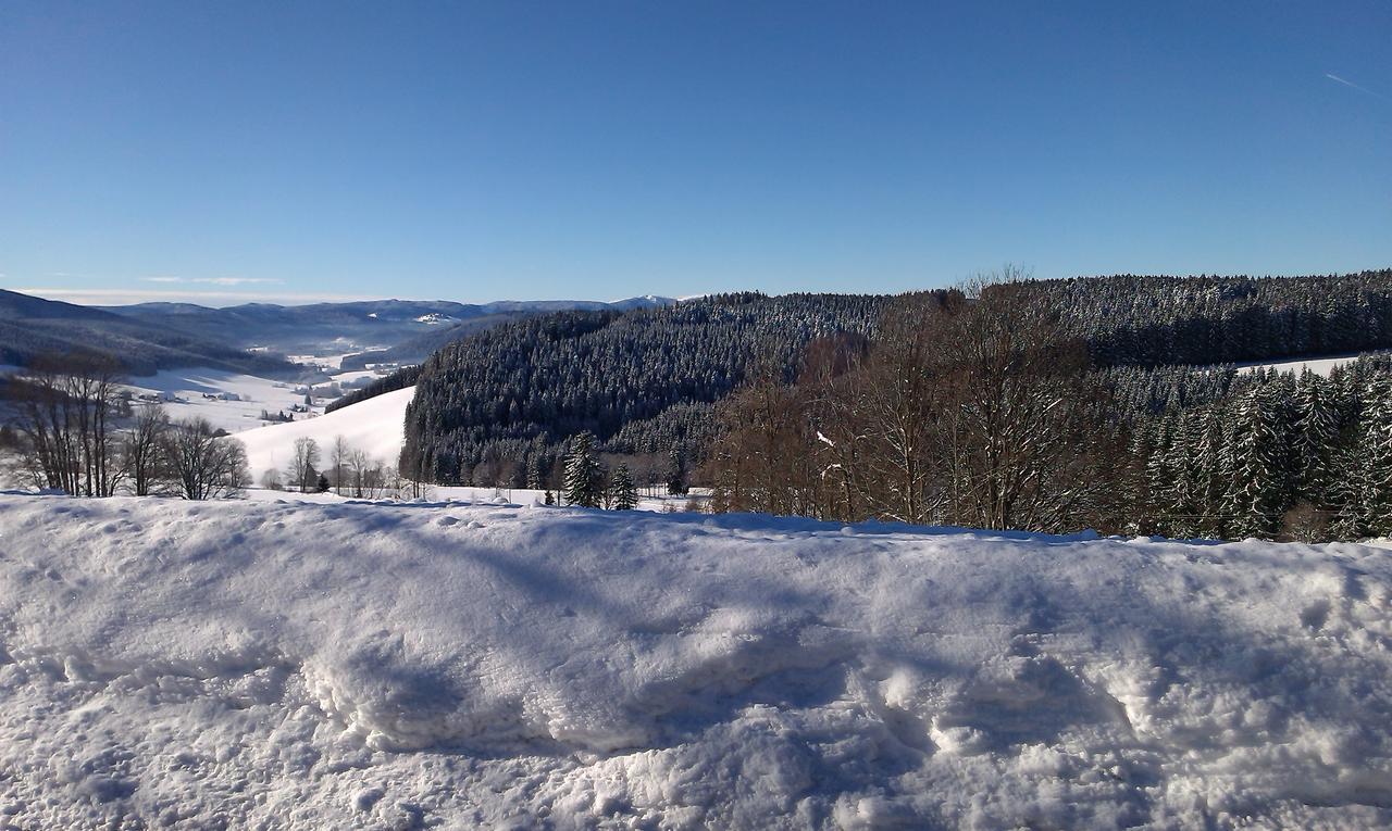 Hôtel Schwarzwaldgasthaus Salenhof à Titisee-Neustadt Extérieur photo