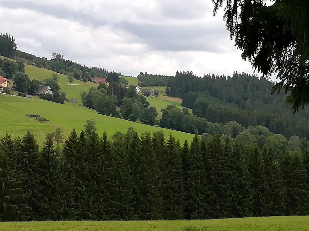 Hôtel Schwarzwaldgasthaus Salenhof à Titisee-Neustadt Extérieur photo