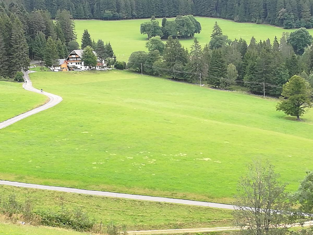 Hôtel Schwarzwaldgasthaus Salenhof à Titisee-Neustadt Extérieur photo